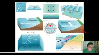 Ocean Currents (Part 5): Ekman Transport & Upwelling / Downwelling