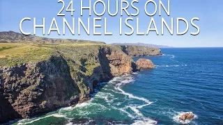 Channel Islands in 24 Hours: Exploring & Hiking on Santa Cruz Island