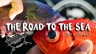 THE ROAD TO THE SEA EP23 | Catch & Cook | Big Island Hawaii Fishing