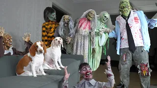 Dog vs Zombie Apocalypse Prank! Funny Dogs Maymo & Potpie Battle Zombies Halloween Pranks