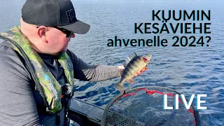 Kuumin kesäviehe 2024 ahvenelle? | LivE