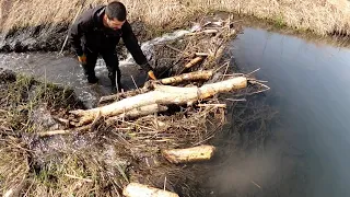 “BEAVERS BARRICADE BUSTED” The Best Beaver Dam Removal Ever!