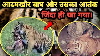 एक आदमखोर जिसने Jim Corbett को असली डर का अहसास कराया था। Man Eater of Chuka। Facts Phylum