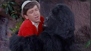 Gilligan's Island - Gilligan Had A Bad Day