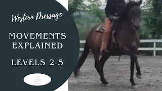 Western Dressage Movements Explained Levels 2-5