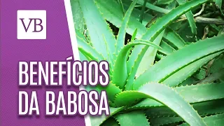 Benefícios da Babosa - Você Bonita (31/07/18)