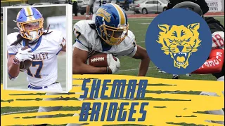Shemar Bridges, WR, Fort Valley State University | 2022 NFL Draft Official Highlights