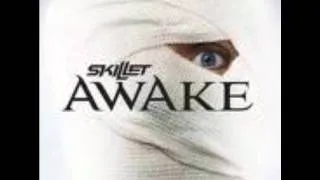 Skillet - Hero - Awake [Deluxe-2009]