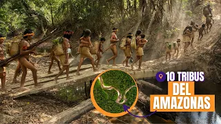 TRIBUS del AMAZONAS | Descubriendo las COSTUMBRES de 10 Tribus Indígenas de la Selva Amazónica