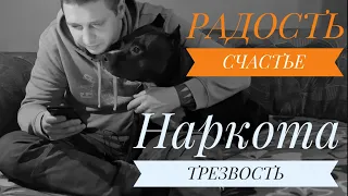 РАДОСТЬ В ТРЕЗВОСТИ