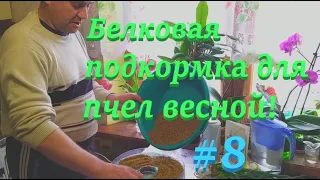 ✅ Белковая ПОДКОРМКА ДЛЯ ПЧЕЛ весной! #ПЧЕЛОВОДСТВО8 начинающим с нуля!