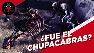 ¿Qué le sucedió a las VACAS MUTILADAS por el CHUPACABRAS / La Historia Real 86