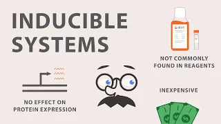 The Cumate Inducible Gene Expression System