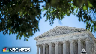 NDRC director: Alabama Supreme Court decision ‘should’ve been’ easy, but Dobbs cast doubts
