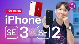 เปรียบเทียบสเปค iPhone SE 3 กับ iPhone SE 2 ต่างกันจุดไหนบ้าง | iMoD