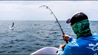 Marlin Caught on Spinning Reel!