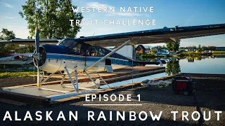 Alaskan Rainbow Trout  - Episode 1 of the Western Native Trout Challenge