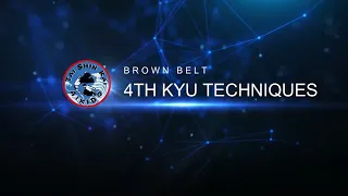 4th Kyu Aikido Techniques