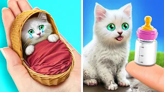 Don't Be Sad Tiny Kitten! 🐾 I Built The Home For My Cat 🏡 *Cool Gadgets And Hacks For Pets*