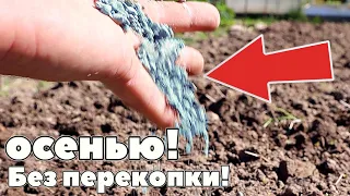 Не перекапывайте под картошку с осени! Сыпьте это удобрение поверх и урожай будет потрясающим!