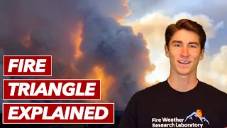 Fire Triangle Explained - How Oxygen, Heat, and Fuel Interact with Wildfire