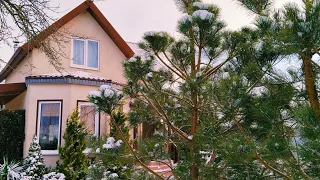 Загородная Жизнь 🏠Гармония Зимнего Дня. Необычные бутерброды. Сухие букеты Семена Сухоцветов #garden