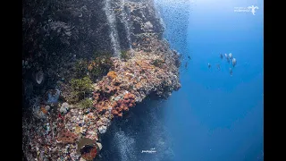 Diving in Alor, Indonesia.