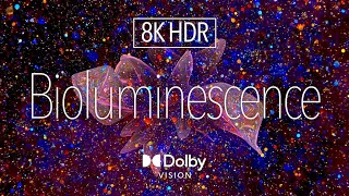 8K HDR Digital Art ｜ Bioluminescence ｜ Dolby Vision™｜ Micro LED | Vision Pro