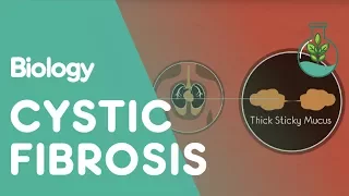 What Is Cystic Fibrosis | Health | Biology | FuseSchool