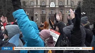 НикВести: Митинг против бездомных собак на улицах Николаева