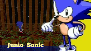 Junio Sonic in Sonic robo blast 2