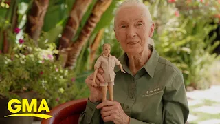 Dr. Jane Goodall to be honored with her own Barbie doll