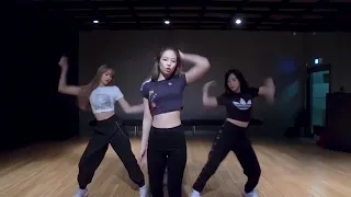 [안무영상] 블랙핑크 (BLACKPINK)  -  '뚜두뚜두 (DDU DU DDU DU)' DANCE PRACTICE VIDEO MOVING VER