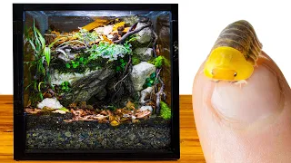 DIY Rubber Ducky Isopod Dripping Cave Vivarium