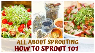 ALL ABOUT SPROUTING! How to sprout 101