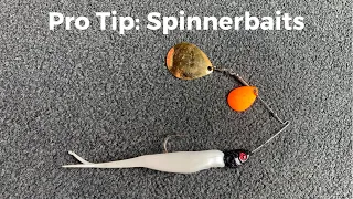 Pro Tip: Spinnerbaits