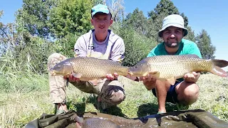 Ловля карпа    мой первый CARP Fishing.