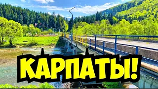 КАРПАТЫ СКОЛЕ 10 МАЯ 2022❗️ЗАПАД УКРАИНЫ❗️СКОЛЕ ЗАХІД УКРАЇНИ❗️ ЖИЗНЬ ВО ВРЕМЯ ВОЙНЫ❗️