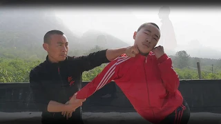 Shaolin Wubuquan application 少林五步拳应用法