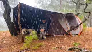 2 Days in the Forest in Heavy Rain! • Rain Camping, Rainstorm, Flood, Bad Weather