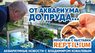 Аквариумные новости с Владимиром Ковалевым (20.04.2024). От аквариума до пруда...