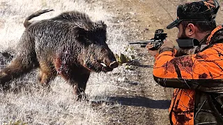A herd of wild boars was eliminated in 20 seconds! Incredible wild boar hunting,  amazing scenes HOG