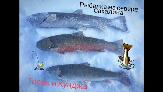 Рыбалка на Сахалине. Первый лёд Сезон твёрдой воды 2021. Север острова, Голец и Кунджа.