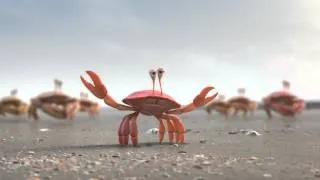 Stronger When We Work Together: Crabs