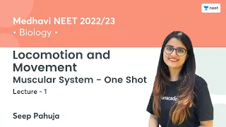 Locomotion and Movement | Muscular System One Shot | L1 | NEET 2022/23 | Seep Pahuja