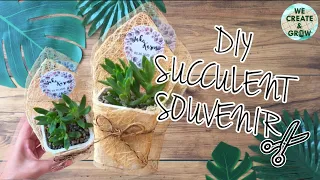 DIY: How to make EASY SUCCULENT SOUVENIR | We Create and Grow