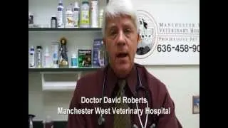 Pet Tips - Indoor Cat Vaccinations