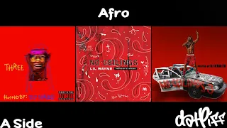 Lil Wayne - Afro | No Ceilings 3 (Official Audio)