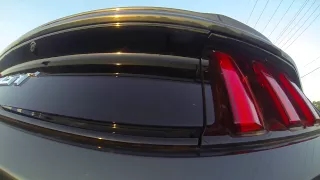 2015 Ford Mustang GT Launch Control Exhaust with Great Sound