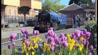 Another GREAT Spring Steam Gala at the Severn Valley Railway, 20th April 2024